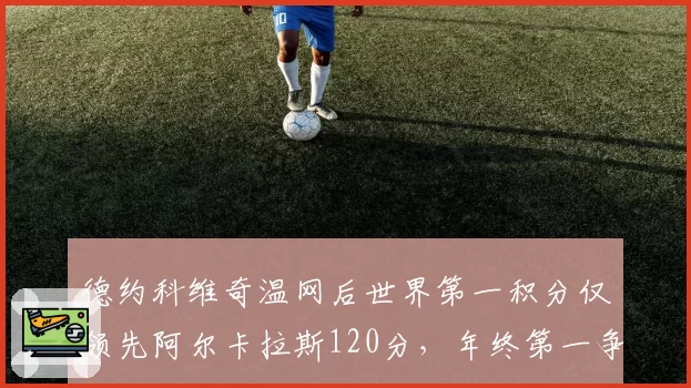 德约科维奇温网后世界第一积分仅领先阿尔卡拉斯120分，年终第一争夺白热化