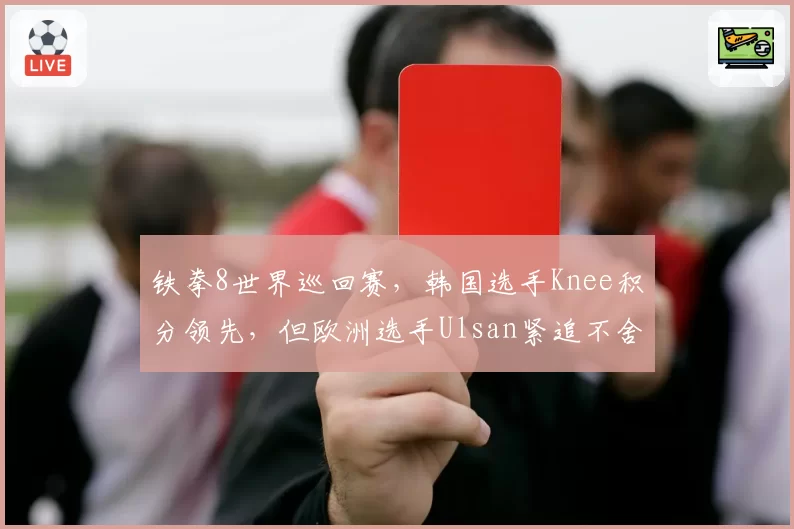 铁拳8世界巡回赛，韩国选手Knee积分领先，但欧洲选手Ulsan紧追不舍