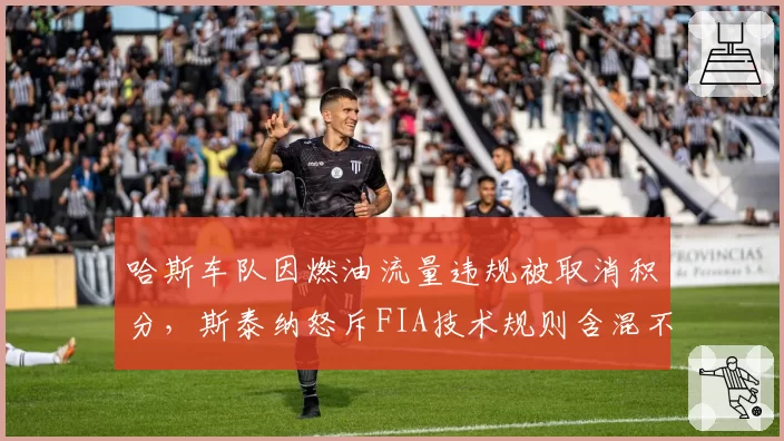 哈斯车队因燃油流量违规被取消积分，斯泰纳怒斥FIA技术规则含混不清