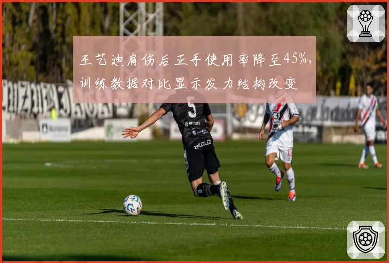 王艺迪肩伤后正手使用率降至45%，训练数据对比显示发力结构改变